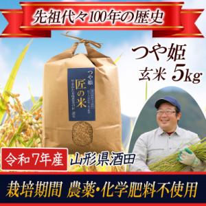 ふるさと納税 酒田市 【栽培期間中農薬不使用】つや姫 玄米5kg 大粒LLサイズ以上厳選 令和7年産