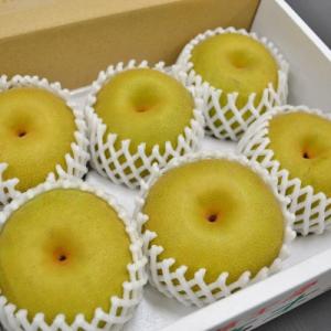 ふるさと納税 朝倉市 フルーツの里の直売所より...の詳細画像1