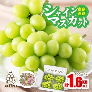 ふるさと納税 山梨市 【2026年先行予約】農家直送シャインマスカットパック入1.6kg以上(1房4...