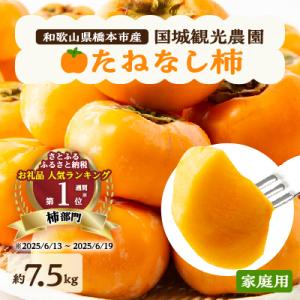 青パパイヤ 沖縄産 たっぷり約3.5キロ パパイン酵素 グリーンパパイヤ