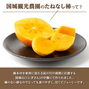 ふるさと納税 橋本市 柿【2026年度発送分】...の詳細画像2