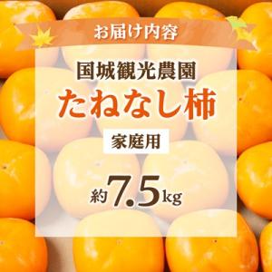 ふるさと納税 橋本市 柿【2026年度発送分】...の詳細画像3