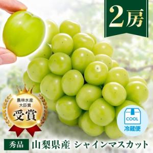 ふるさと納税 山梨市 【先行受付 2026年発送】農林水産大臣賞受賞!!シャインマスカット 2房 1...