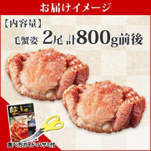 ふるさと納税 弟子屈町 毛蟹 姿 2尾 計80...の詳細画像3