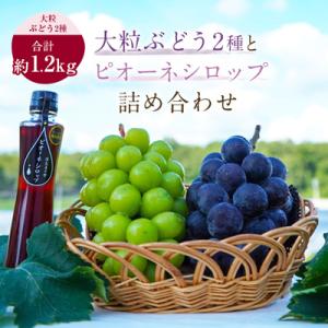 ふるさと納税 真庭市 大粒ぶどう2種(計約1.2kg)とピオーネシロップ詰め合わせ　ピオーネ　シャインマスカット　岡山県産