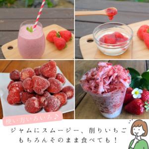 ふるさと納税 太宰府市 うるう農園の冷凍あまお...の詳細画像2