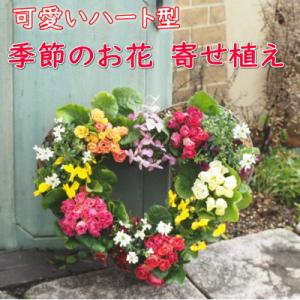 ふるさと納税 朝倉市 可愛いハート型のリースに季...の商品画像