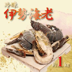 ふるさと納税 美浜町 冷凍伊勢えびカット(サイズ不揃い)約1kg(美浜町)