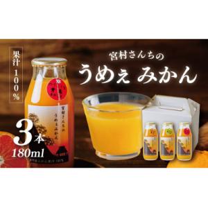 ふるさと納税 秦野市 秦野産みかんストレートジュース(3本)