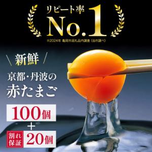 ふるさと納税 亀岡市 新鮮 卵 丹波の赤たまご 100個(20個×5パック)+割れ保証20個