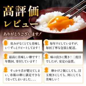 ふるさと納税 亀岡市 新鮮 卵 丹波の赤たまご...の詳細画像1