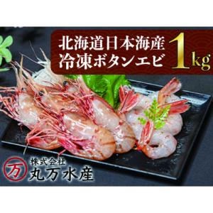 ふるさと納税 増毛町 ボタンエビ1kg(34尾〜46尾)