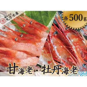 ふるさと納税 増毛町 甘えび500g・ボタンエビ500gセット