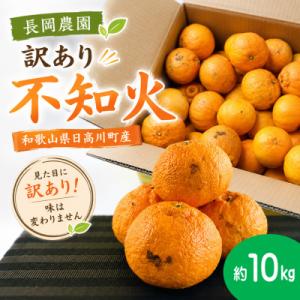 ふるさと納税 果物類 みかん 愛媛県 宇和島市 訳あり ポンカン 10kg