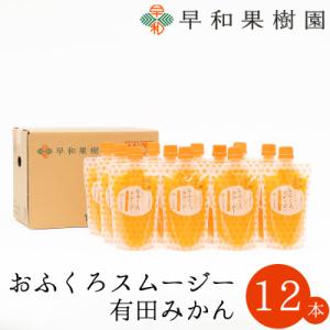 ふるさと納税 有田市 【早和果樹園】おふくろスムージー有田みかん　飲むみかんゼリー(パウチタイプジュレ)170g×12本入｜Yahoo!ふるさと納税
