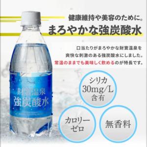 ふるさと納税 垂水市 財寶温泉強炭酸水 500...の詳細画像1