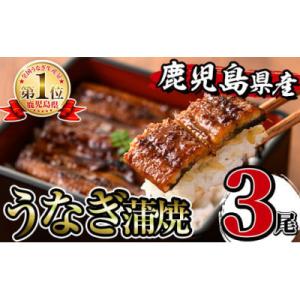 ふるさと納税 出水市 鹿児島県産うなぎ蒲焼3尾セット_I506
