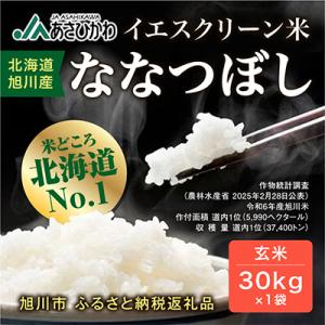 ふるさと納税 旭川市 【数量限定】令和7年産米 北海道産 特A ななつぼし 新米 玄米 お米 30kg_00217