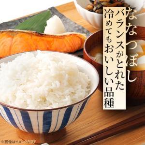 ふるさと納税 旭川市 令和7年産特A無洗米北海...の詳細画像2