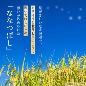 ふるさと納税 旭川市 令和7年産特A無洗米北海...の詳細画像3