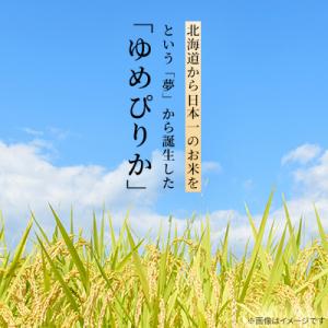 ふるさと納税 旭川市 令和7年産特A無洗米北海...の詳細画像3