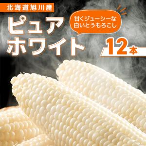 ふるさと納税 旭川市 2026年先行受付【まるで果実】甘い北海道産白いとうもろこし12本(ピュアホワ...