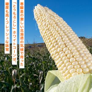 ふるさと納税 旭川市 2027年先行受付【まる...の詳細画像2
