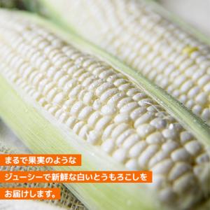 ふるさと納税 旭川市 2027年先行受付【まる...の詳細画像3
