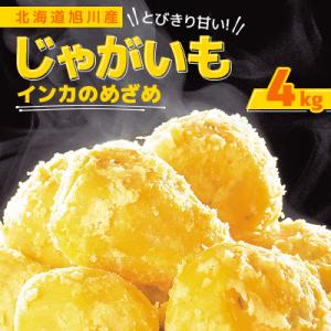 ふるさと納税 旭川市 2026年度 北海道産　じゃがいも(インカのめざめ)　4kg_00417