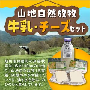 ふるさと納税 旭川市 斉藤牧場の山地自然放牧牛乳・チーズセット_00579