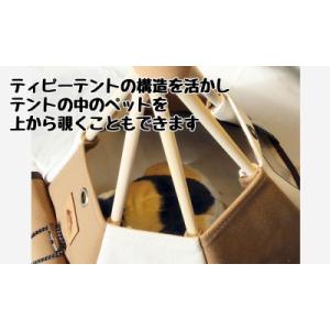 ふるさと納税 旭川市 【ネコテント】国産帆布の...の詳細画像3