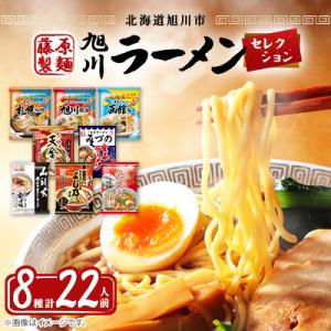 ふるさと納税 旭川市 旭川ラーメン　【藤原製麺】セレクション　どーんと22人前_01478