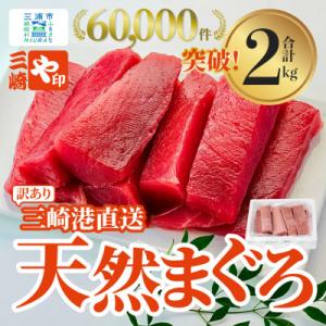 ふるさと納税 三浦市 【訳あり】三崎港直送!　これを選べば間違いなし!業務用　三崎の天然マグロ2kg