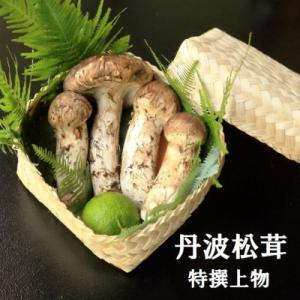 ふるさと納税 亀岡市 【先行受付】数量限定 丹波松茸(篭入り)特選上物＜丹波四季菜料理 宮本屋＞