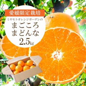 ふるさと納税 八幡浜市 紅まどんなと同品種 愛媛果試28号 まごころまどんな 2.5kg【D25-1...