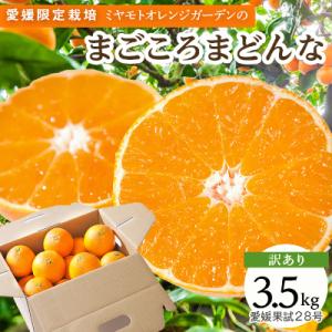 ふるさと納税 八幡浜市 【紅まどんなと同品種】愛媛果試28号 まごころまどんな 3.5kg 訳あり|...