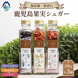 ふるさと納税 枕崎市 ふぉるて鹿児島果実シュガー いちご たんかん ブル―ベリー 砂糖 小瓶 fラボ...