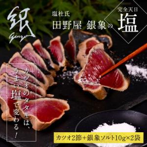 ふるさと納税 芸西村 極カツオのたたき(6〜7人前)田野屋銀象ソルト(天日塩)付　鰹タタキ【KGP0...