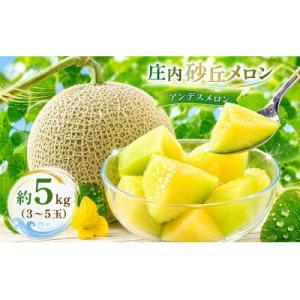 ふるさと納税 鶴岡市 【令和9年産】菅原農園の庄内砂丘アンデスメロン約5kg(3〜5玉)[K-935...