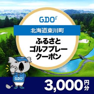 ふるさと納税 東川町 【北海道東川町】GDOふるさとゴルフプレークーポン(3,000円分)