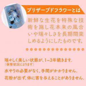 ふるさと納税 佐世保市 バラとカーネーションの...の詳細画像2