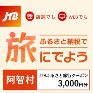 ふるさと納税 阿智村 【長野県阿智村】JTBふるさと旅行クーポン(Eメール発行)3,000円分