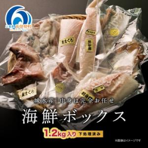 ふるさと納税 南伊勢町 訳あり 伊勢志摩産 海鮮 お宝ボックス 約1.2kg おまかせセット 特産の...