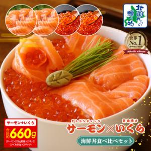 ふるさと納税 泉佐野市 アトランティック サーモン 250g×2P &amp; いくら醤油漬け 80g×2P...