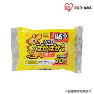 ふるさと納税 大河原町 ぽかぽか家族 貼るミニ PKN-10HM 10P×48箱 アイリスオーヤマ[...