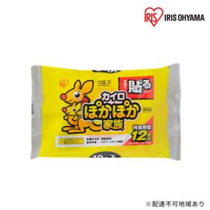 ふるさと納税 大河原町 カイロぽかぽか家族レギュラー10P アイリスオーヤマ[53750718]