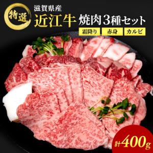 ふるさと納税 豊郷町 近江牛 特選 焼肉 3種盛り 約400g [53820165]