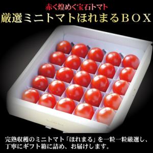 ふるさと納税 中富良野町 BF-007【2026年発送】【中富良野町】厳選ミニトマトほれまるBOX