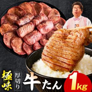 ふるさと納税 泉佐野市 厚切り牛たん 1kg 氷温熟成×旨塩ダレ 500g×2P 焼肉用 訳あり m...