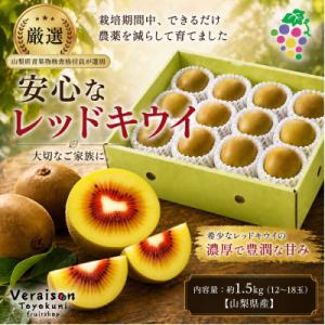 ふるさと納税 蓮田市 埼玉県蓮田産 キウイフルーツ(グリーン)不揃い1kg